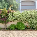 Viadegliaranci16