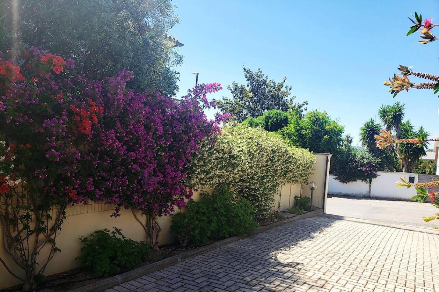 Viadegliaranci16 Apartment Olbia