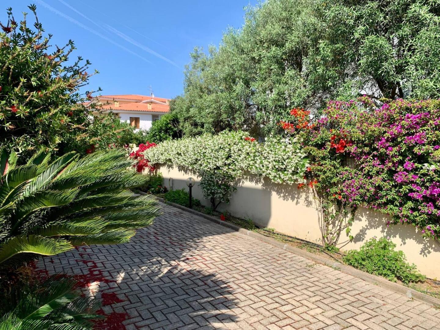 Viadegliaranci16 Apartment Olbia